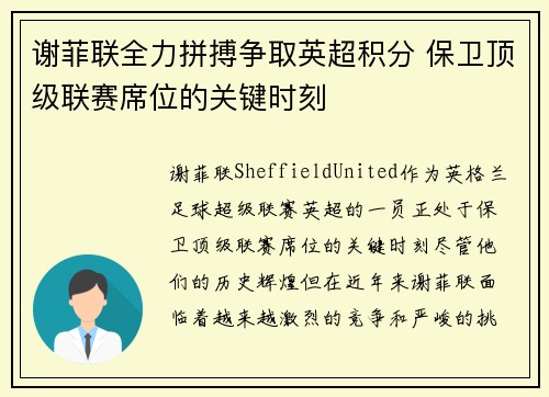 谢菲联全力拼搏争取英超积分 保卫顶级联赛席位的关键时刻 谢菲联全力拼搏争取英超积分 保卫顶级联赛席位的关键时刻
