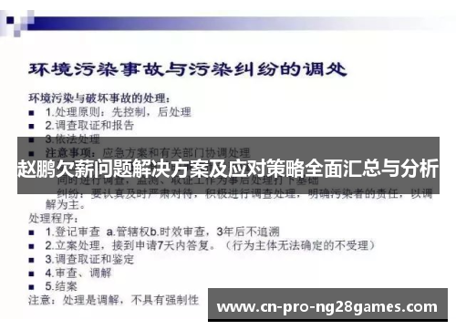 赵鹏欠薪问题解决方案及应对策略全面汇总与分析